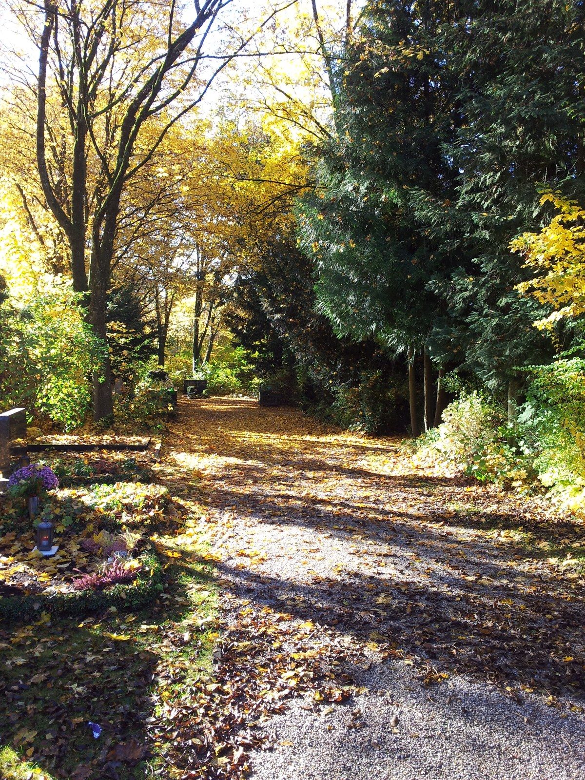 Waldfriedhof Freising